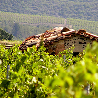 Photo de France - Douce France